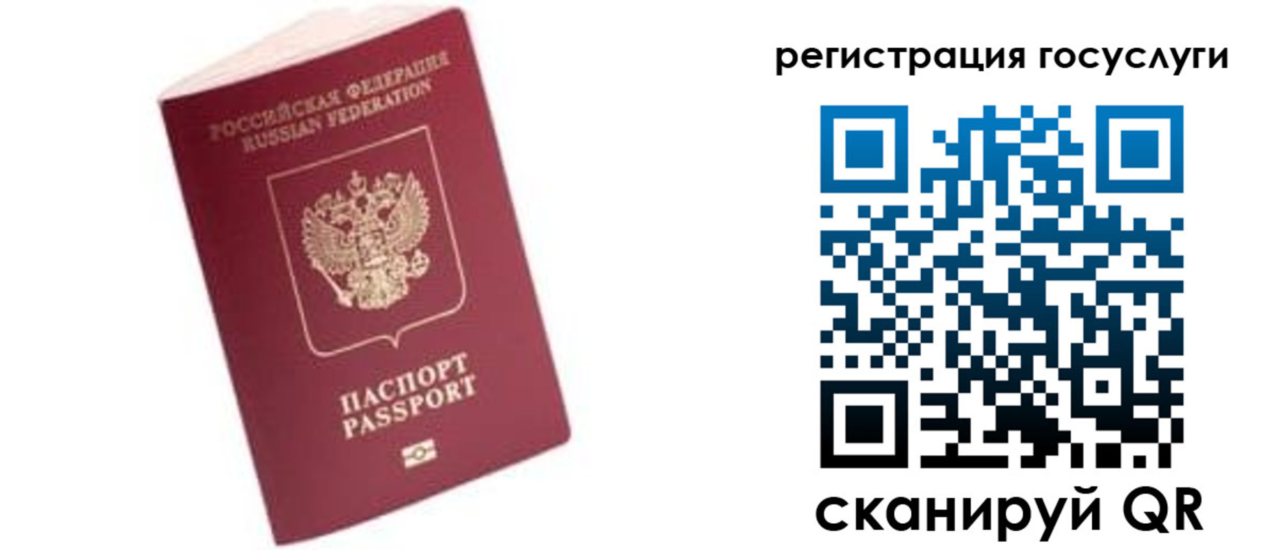 прописка поиск в Егорьевске